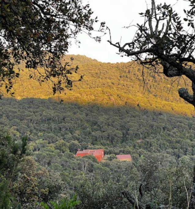 Masia Can Castellar Sant Iscle De Vallalta Buitenkant foto